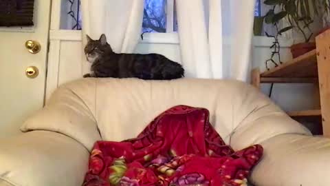 Snapshot of jacobmotes chatting on 02.22.26 Jacob online show from 02.22.26