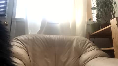 Snapshot of jacobmotes chatting on 02.24.26 Jacob online show from 02.24.26