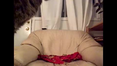 Snapshot of jacobmotes chatting on 03.17.26 Jacob online show from 03.17.26