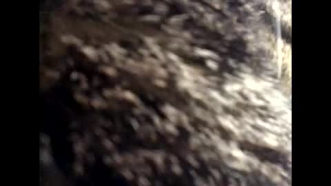 Snapshot of jacobmotes chatting on 03.24.26 Jacob online show from 03.24.26