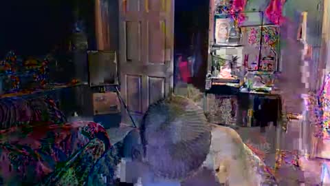 Jade online show from 02.16.26