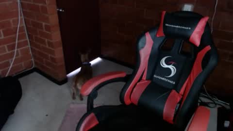 jadesexfun online show from 03.12.25