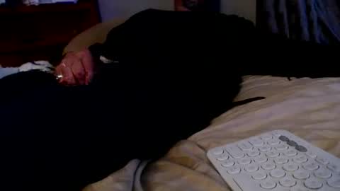 what you in too online show from 12.02.25