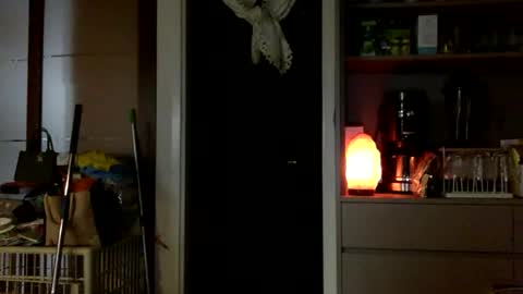 jamesmo820913 online show from 10.25.25