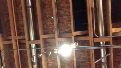 jamie19905 online show from 10.29.25