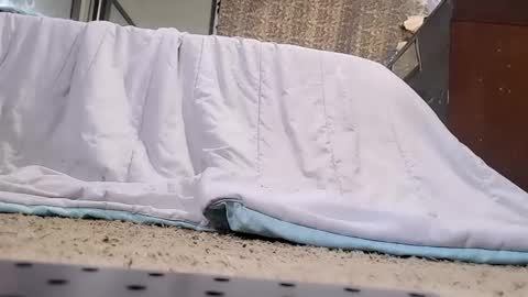 Snapshot of jamwarnerone chatting on 02.20.26 Bootyshows online show from 02.20.26