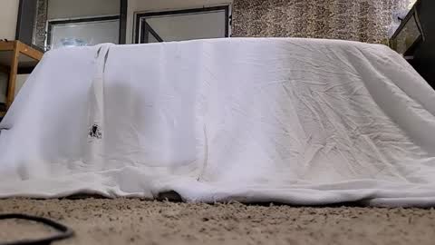 Snapshot of jamwarnerone chatting on 03.12.26 Bootyshows online show from 03.12.26