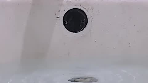 Snapshot of jamwarnerone chatting on 03.15.26 Bootyshows online show from 03.15.26