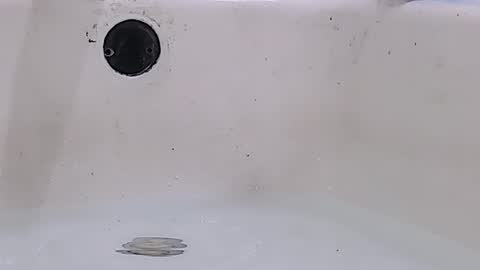 Snapshot of jamwarnerone chatting on 03.16.26 Bootyshows online show from 03.16.26