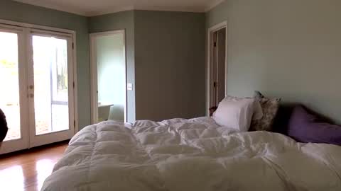 Snapshot of janicepepper chatting on 01.04.25 janicepepper online show from 01.04.25