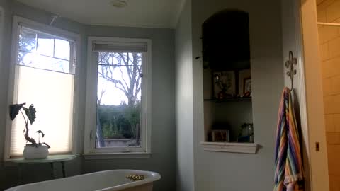 Snapshot of janicepepper chatting on 03.02.25 janicepepper online show from 03.02.25