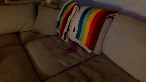 Snapshot of janicepepper chatting on 12.18.25 janicepepper online show from 12.18.25