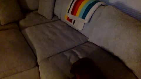 Snapshot of janicepepper chatting on 05.21.26 janicepepper online show from 05.21.26