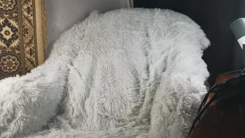 Snapshot of jaredhighborne chatting on 01.15.26 K online show from 01.15.26