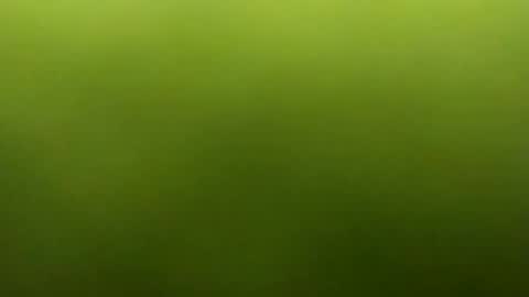 jarret8222 online show from 03.05.26