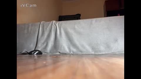 Snapshot of jarrettsss chatting on 11.14.25 jarrettsss online show from 11.14.25