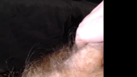 Snapshot of jasoncummings chatting on 12.14.24 Jason online show from 12.14.24