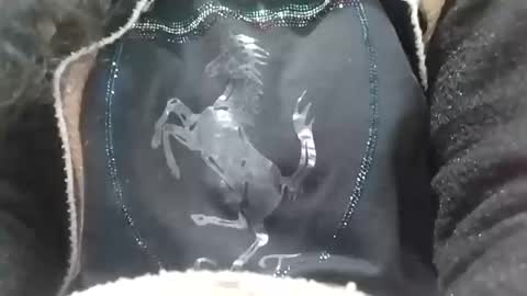 Snapshot of jasspreettt chatting on 02.02.25 jasspreettt online show from 02.02.25