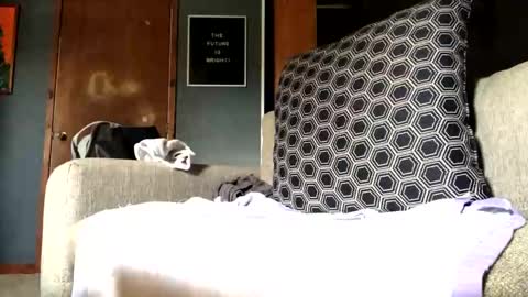 Jaws  online show from 09.10.25