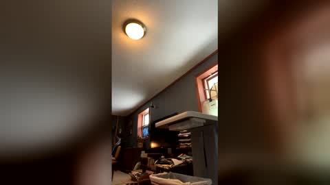 Jaws  online show from 01.17.26