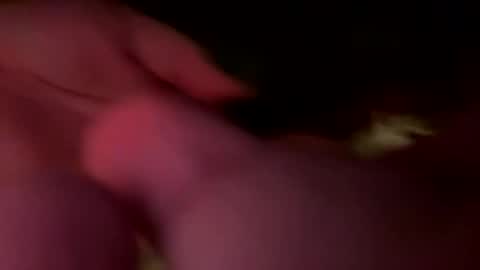 Jaws  online show from 02.21.26