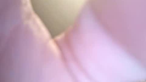 jay56777543234 online show from 02.08.26