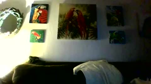 jay-jay1475 online show from 01.31.26