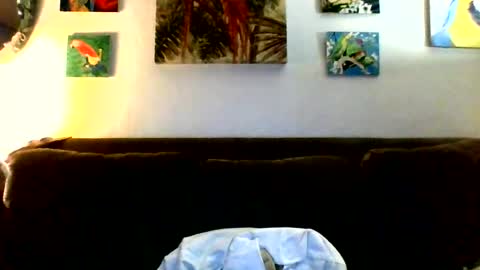 Snapshot of jay_jay1475 chatting on 07.23.26 jay-jay1475 online show from 07.23.26