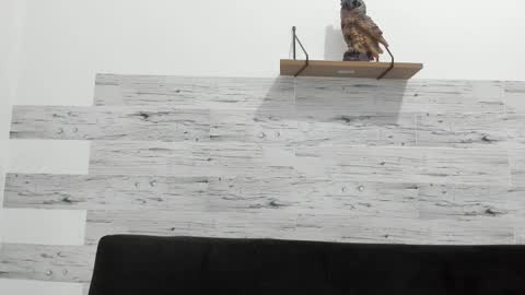 Snapshot of jaycreedd chatting on 02.11.25 Jaycreedd online show from 02.11.25