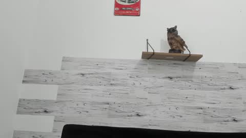 Snapshot of jaycreedd chatting on 02.18.25 Jaycreedd online show from 02.18.25