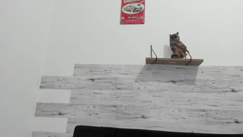 Snapshot of jaycreedd chatting on 02.20.25 Jaycreedd online show from 02.20.25