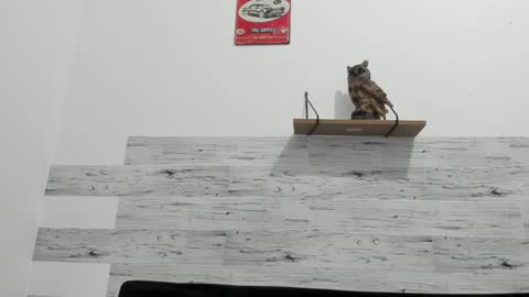 Snapshot of jaycreedd chatting on 02.22.25 Jaycreedd online show from 02.22.25