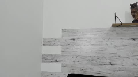 Snapshot of jaycreedd chatting on 02.22.25 Jaycreedd online show from 02.22.25