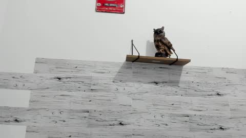 Snapshot of jaycreedd chatting on 02.22.25 Jaycreedd online show from 02.22.25