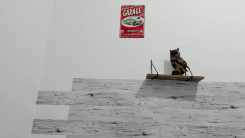 Snapshot of jaycreedd chatting on 02.23.25 Jaycreedd online show from 02.23.25