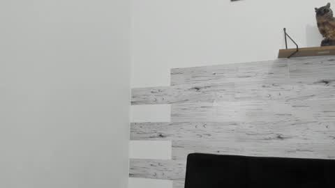 Snapshot of jaycreedd chatting on 03.04.25 Jaycreedd online show from 03.04.25