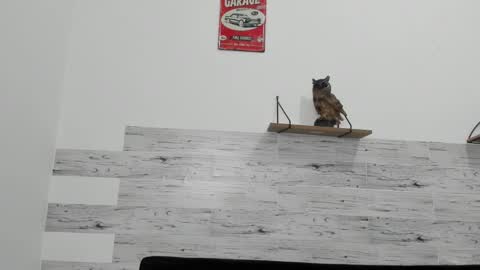 Snapshot of jaycreedd chatting on 03.06.25 Jaycreedd online show from 03.06.25