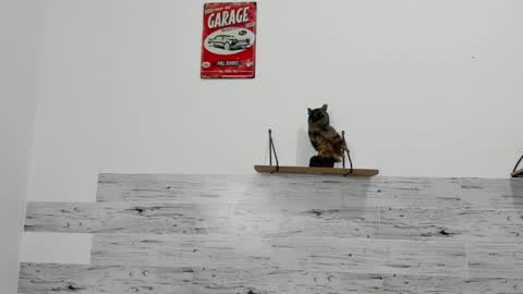 Snapshot of jaycreedd chatting on 03.07.25 Jaycreedd online show from 03.07.25