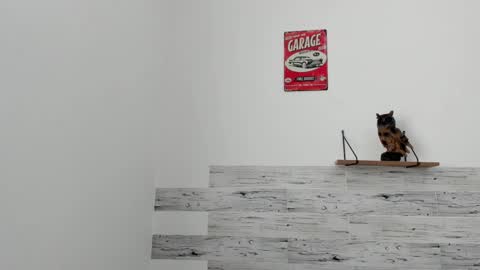 Snapshot of jaycreedd chatting on 03.07.25 Jaycreedd online show from 03.07.25