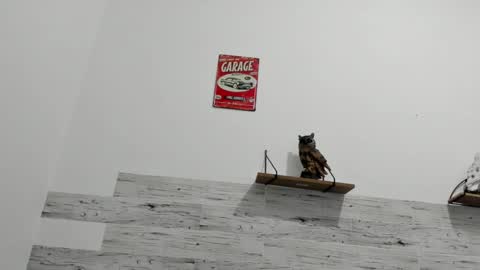 Snapshot of jaycreedd chatting on 03.08.25 Jaycreedd online show from 03.08.25