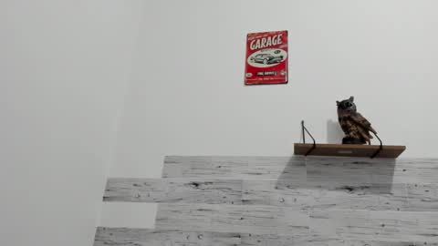 Snapshot of jaycreedd chatting on 03.09.25 Jaycreedd online show from 03.09.25