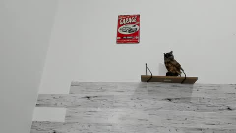 Snapshot of jaycreedd chatting on 03.12.25 Jaycreedd online show from 03.12.25