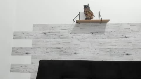 Snapshot of jaycreedd chatting on 09.10.25 Jaycreedd online show from 09.10.25