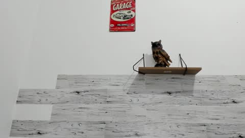 Snapshot of jaycreedd chatting on 09.11.25 Jaycreedd online show from 09.11.25