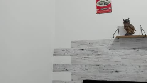 Snapshot of jaycreedd chatting on 09.16.25 Jaycreedd online show from 09.16.25