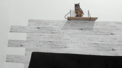 Snapshot of jaycreedd chatting on 09.21.25 Jaycreedd online show from 09.21.25