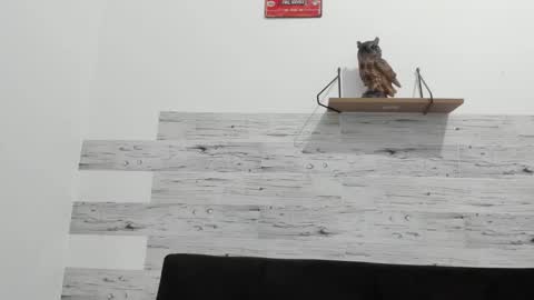 Snapshot of jaycreedd chatting on 09.26.25 Jaycreedd online show from 09.26.25