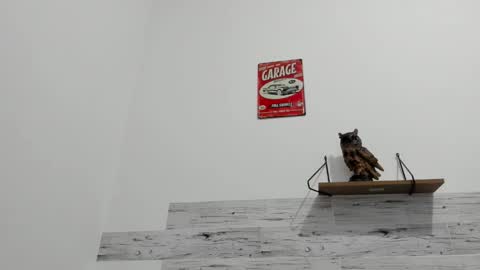 Snapshot of jaycreedd chatting on 09.29.25 Jaycreedd online show from 09.29.25