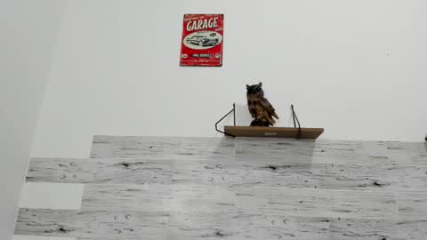 Snapshot of jaycreedd chatting on 10.01.25 Jaycreedd online show from 10.01.25