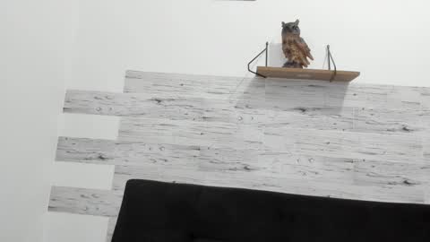 Snapshot of jaycreedd chatting on 10.02.25 Jaycreedd online show from 10.02.25